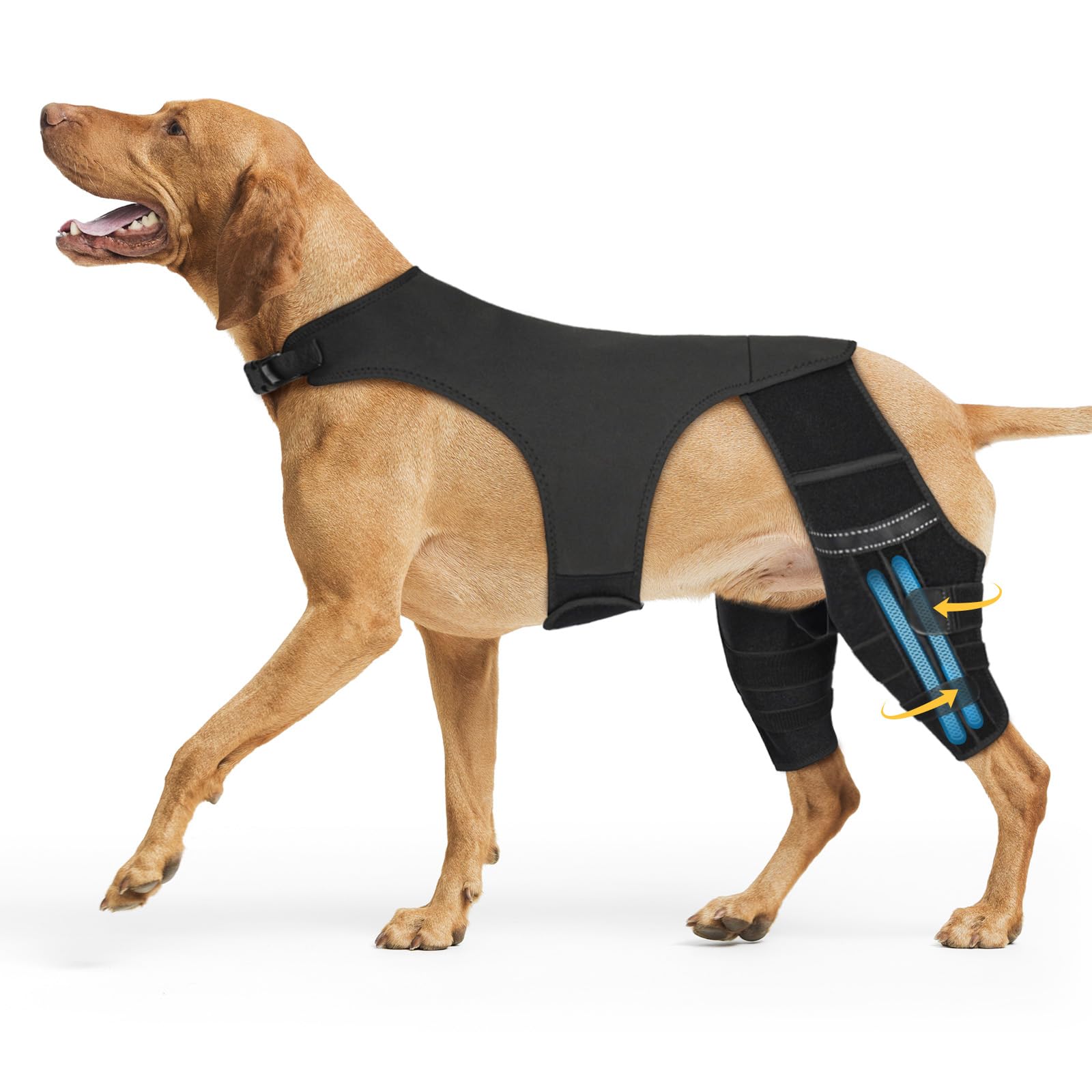 Photo 1 of Marnonsis Dog Knee Brace for Acl Hind Leg, Dog Leg Braces for Back Leg, Adjustable Hip Support to Reduces Pain