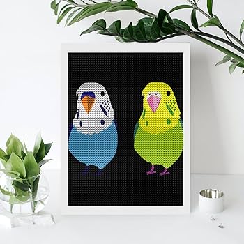 Amazon | ダイヤモンドアート セキセイインコ 二匹 鳥柄