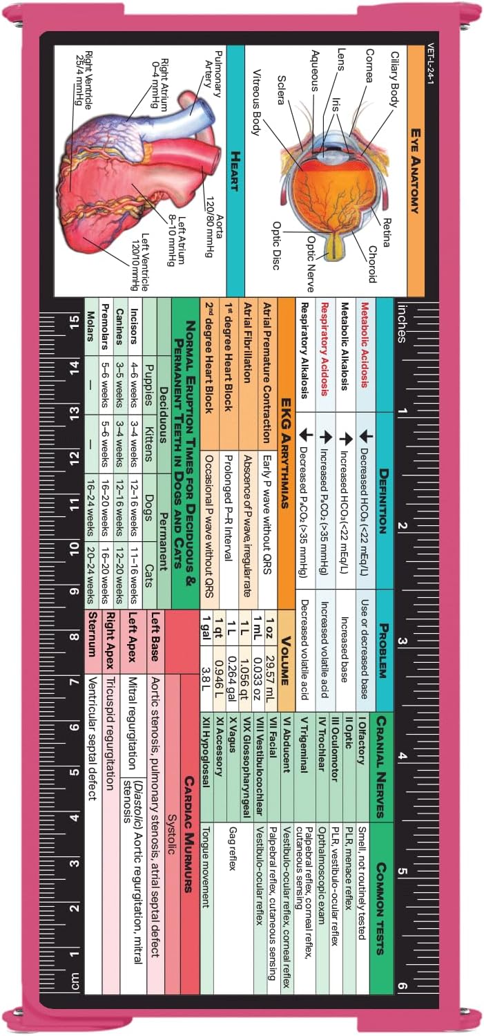 Whitecoat Clipboard® Trifold - Veterinary Medicine Edition (Pink, Trifold)