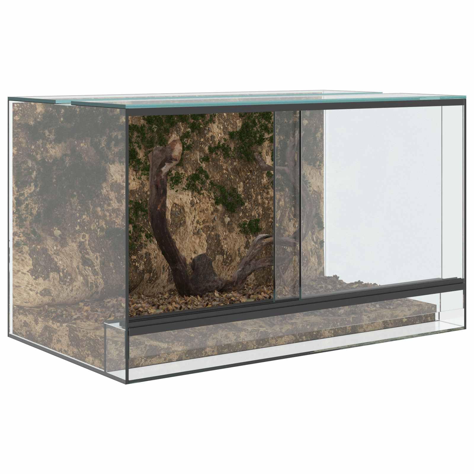 Generisch Terrarium mit Speicher Transparent 50 x 30 x 30 cm Glas,Tier- & Haustierbedarf,Haustierbedarf,Reptilien- & Amphibienbedarf,Terrarien-42020390