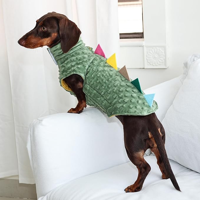 Camiseta de dinosaurio para perro, suave y transpirable, talla pequeña miniatura 6