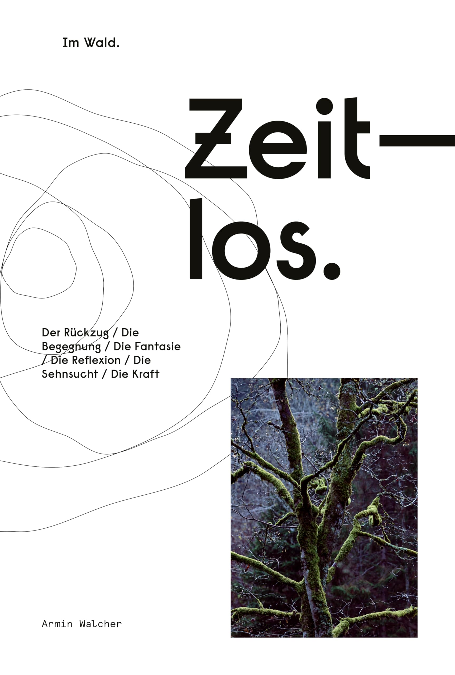 Zeitlos in Begegnung: Im Wald