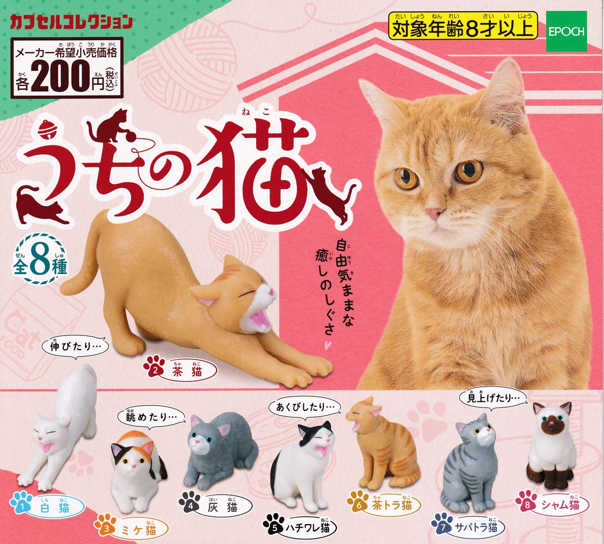 Amazon.co.jp: うちの猫 [全8種セット(フルコンプ)] ガチャガチャ