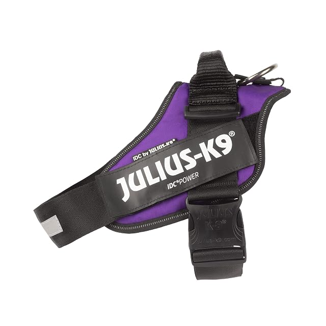 Julius-K9 Arnés IDC Power, Tamaño: L/1, Morado Oscuro