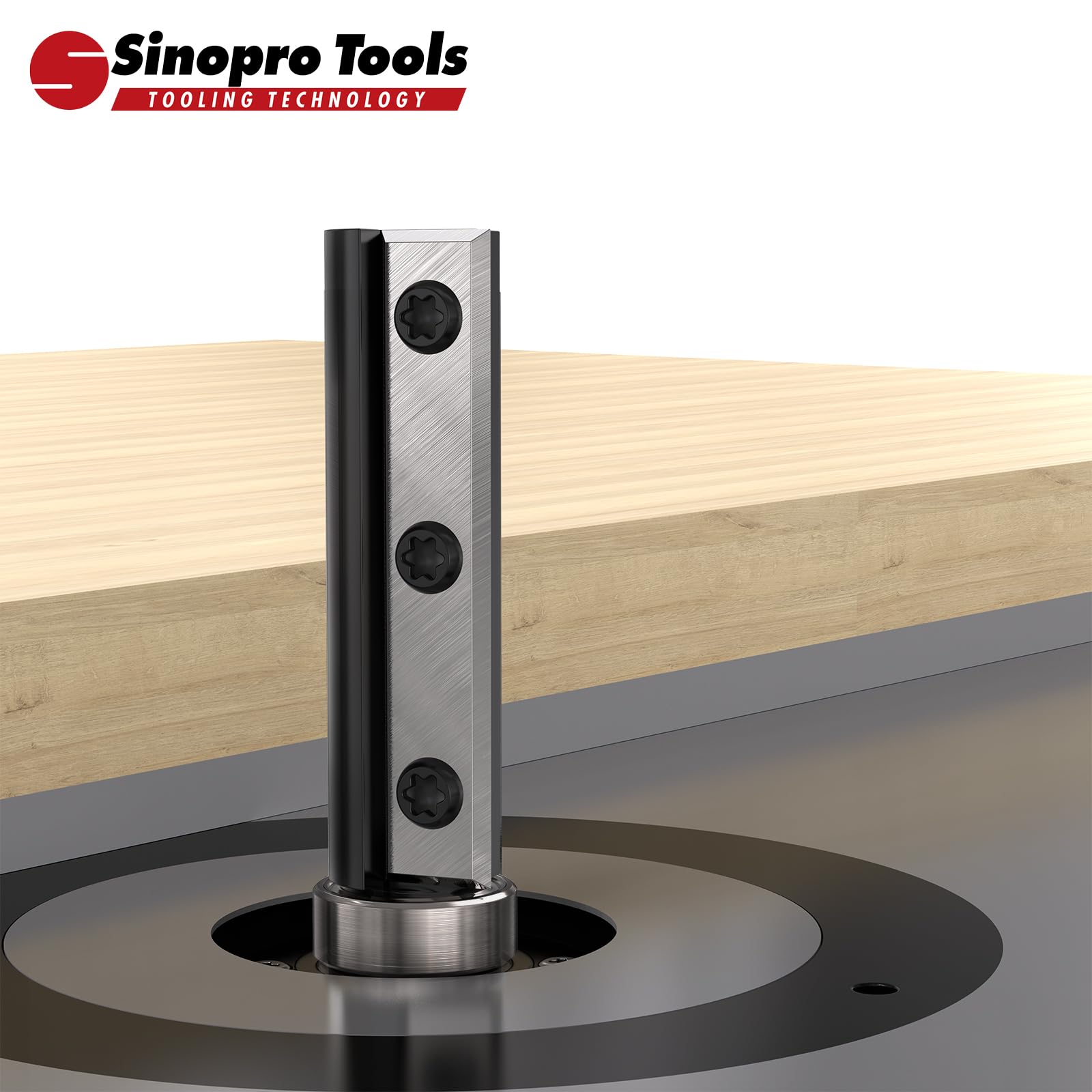 Wendeplatten Bündigfräser HW – 8 mm Schaft, 16 mm Schneidendurchmesser, 50 mm Schneidenlänge, Kugellager Unten, für Holzbearbeitung und bündiges Trimmen