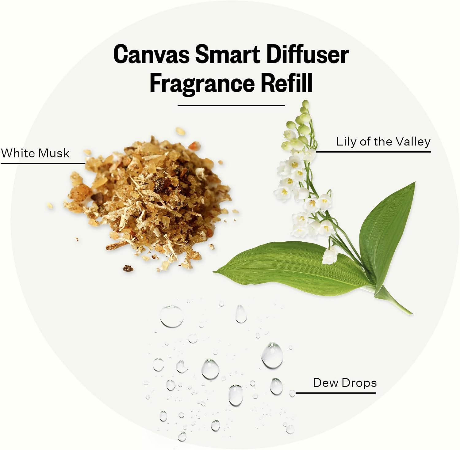 Pura Smart Home Plug-in Diffuser Refills by Apotheke, (Canvas) - Pura Fragrance Refills - Long-Lasting Aromatherapy Air Freshener Fragrance Products with Perfume-Grade Essential Oils