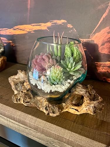 Amazon｜Yunsailing 40ピース 人工多肉植物 フェイク多肉植物 リアルな