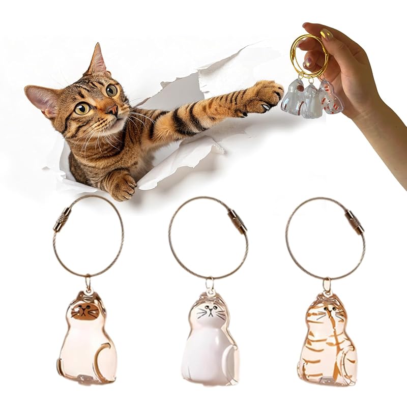 Chaveiro para Guardar Pelos de Gato Transparente Zerikwon B-cat-3pcs, Pacote com 3