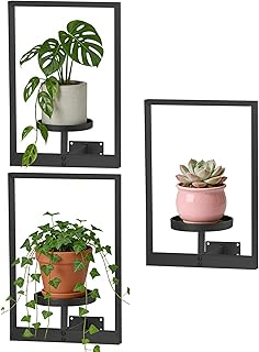 Wall Hanging Plant Shelf Set