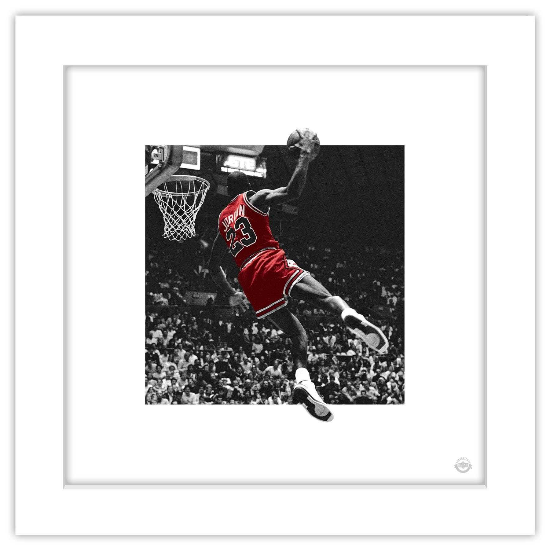 Amazon.com: Gallery Pops Michael Jordan - Kiss The Rim Color Pop