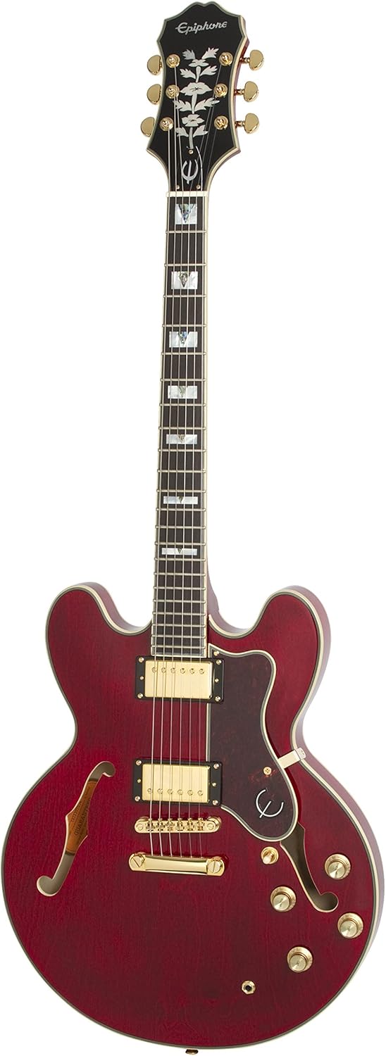 chitarra con pickup probucker