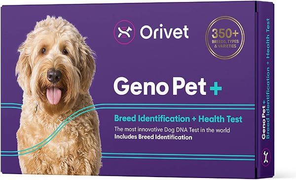 ORIVET GenoPet+ Dog DNA Test Kit for breed and health analysis