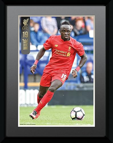 GB Eye LTD, Liverpool, Mane 16/17, Collector Print, 15 x 20 cm, Wood, Multi-Colo