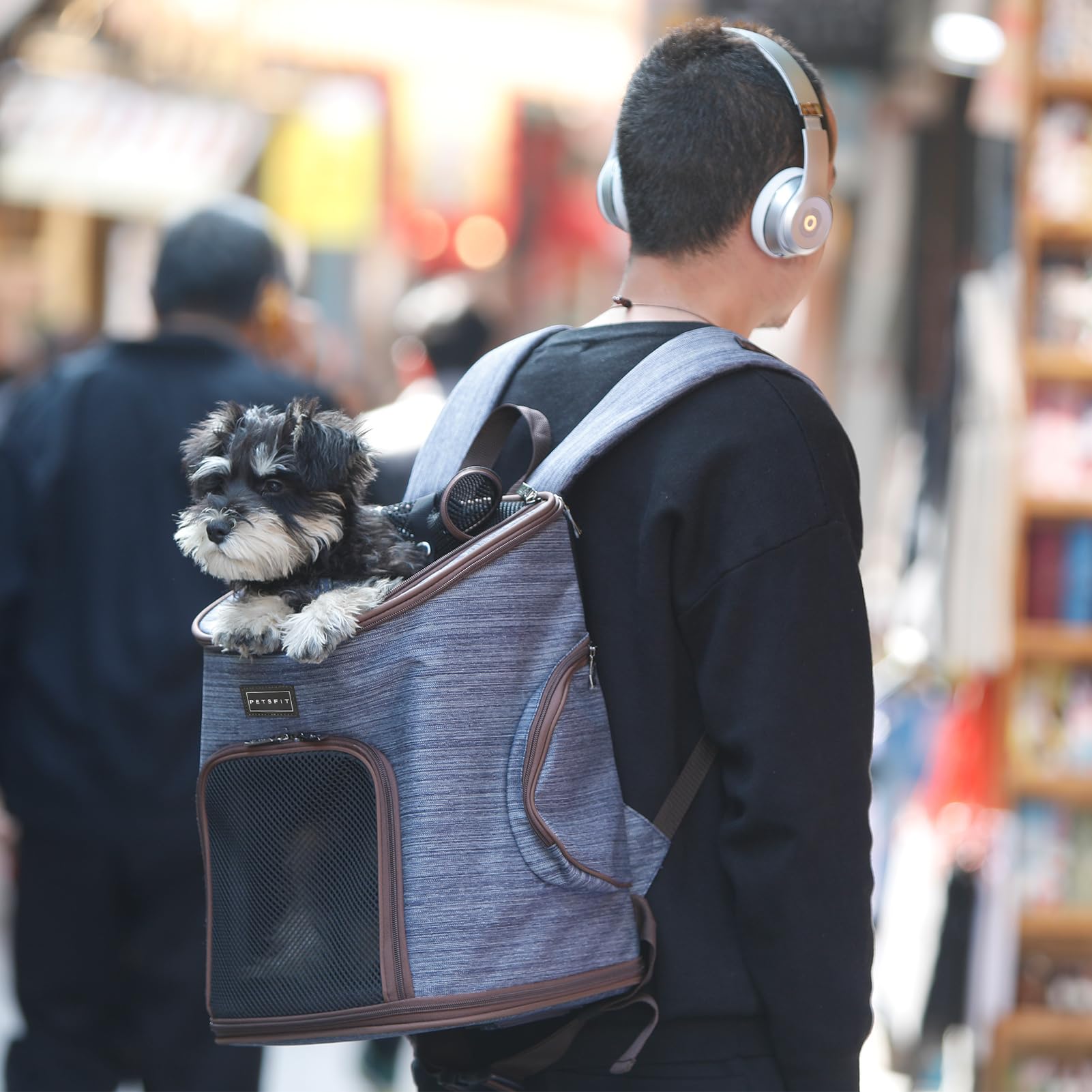 Pestfit Hunde Rucksack für Katzen Kaninchen und kleine Hunde Verstellbare Hunderucksack bis 6 kg Katzenrucksack faltbar, Rucksack Hunde für Reisen, Wandern und Radfahren, Denim-Blau