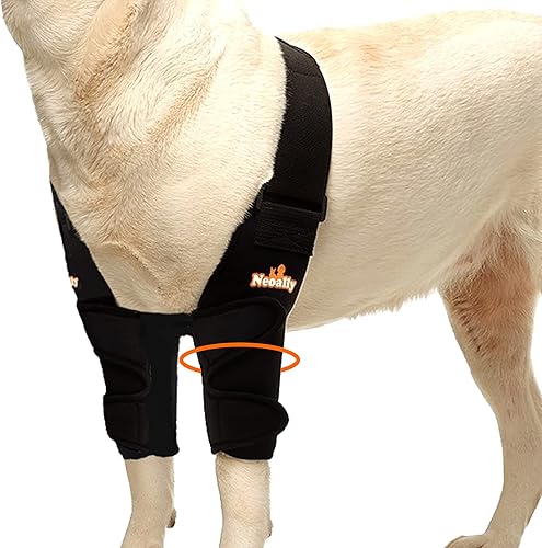 Miniatura 26 de NeoAlly Almohadillas protectoras para coderas de perro para codo canino y hombro, higroma de codo, displasia, osteoartritis, callos de codo, úlceras