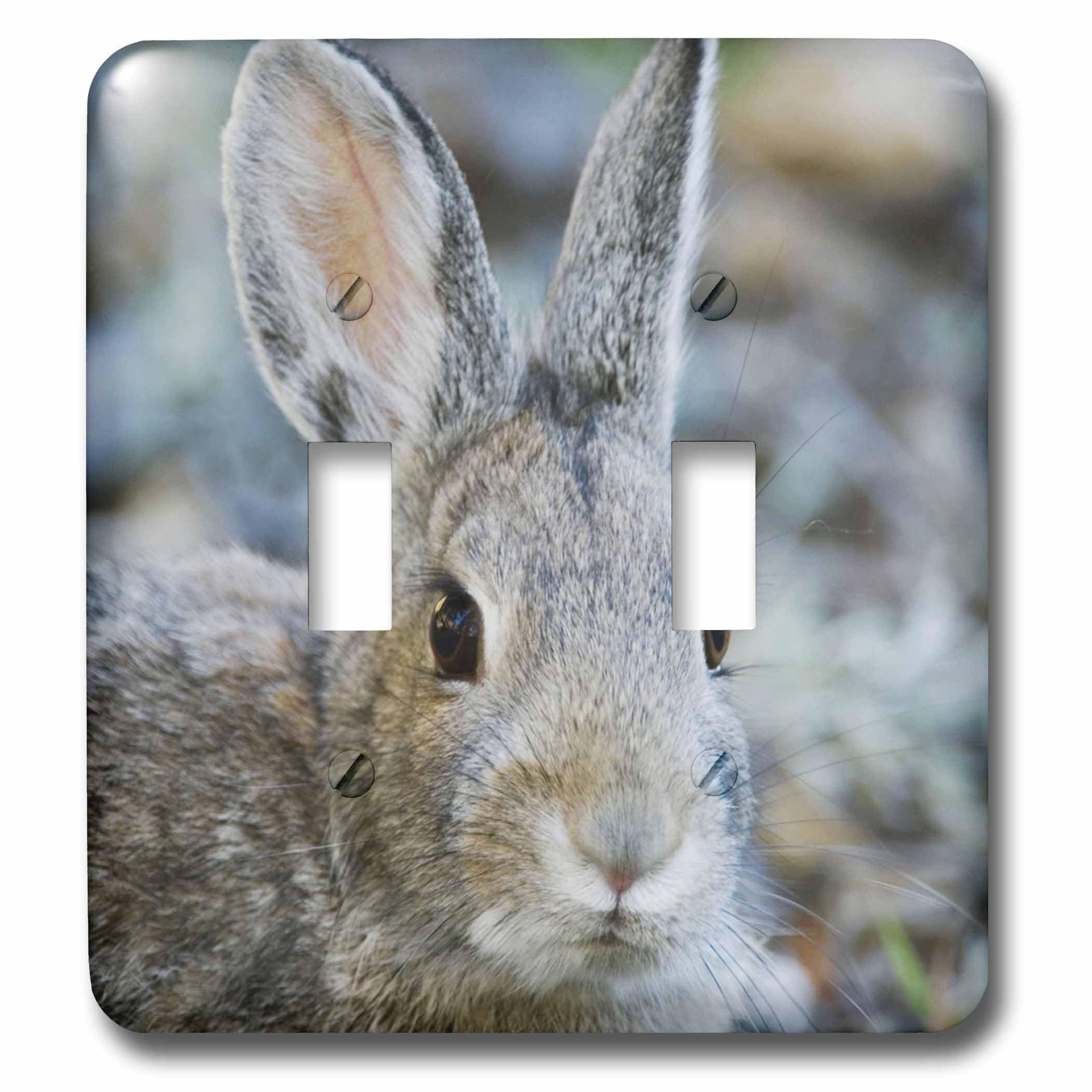 Double interrupteur à bascule Mountain Cottontail Rabbit 3dRose lsp_84549_2 pour décoration