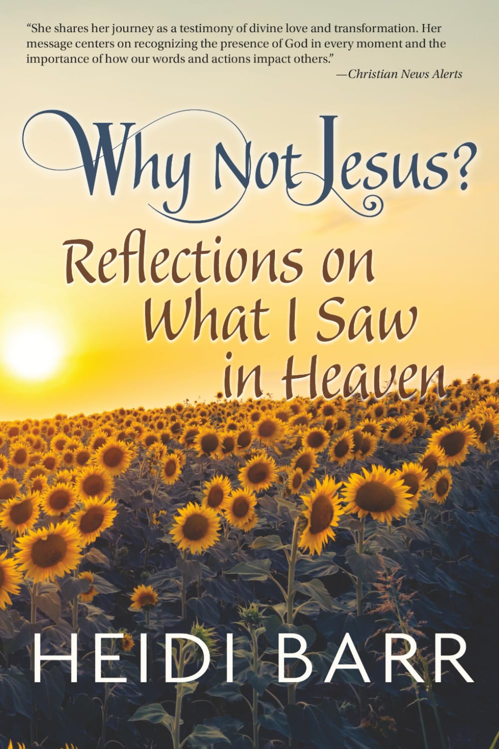 Why Not Jesus?: Reflections on What I Saw in Heaven