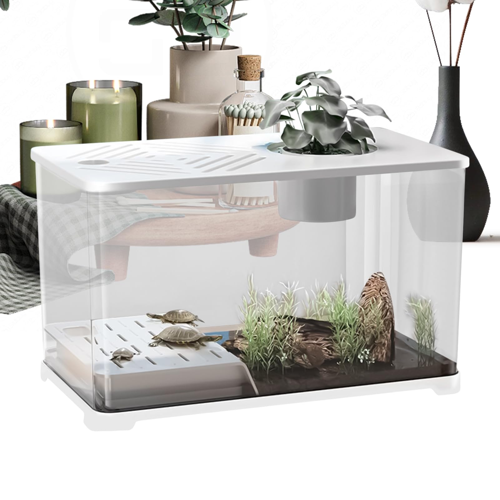 Ssdkpe Fish Tank - Large Aquarium Gold Fish Tank Starter Kit,Modern Container with Turtle Resting Area, Home Decorations for Betta Shrimp Aquatic Planting Desktop Accessories