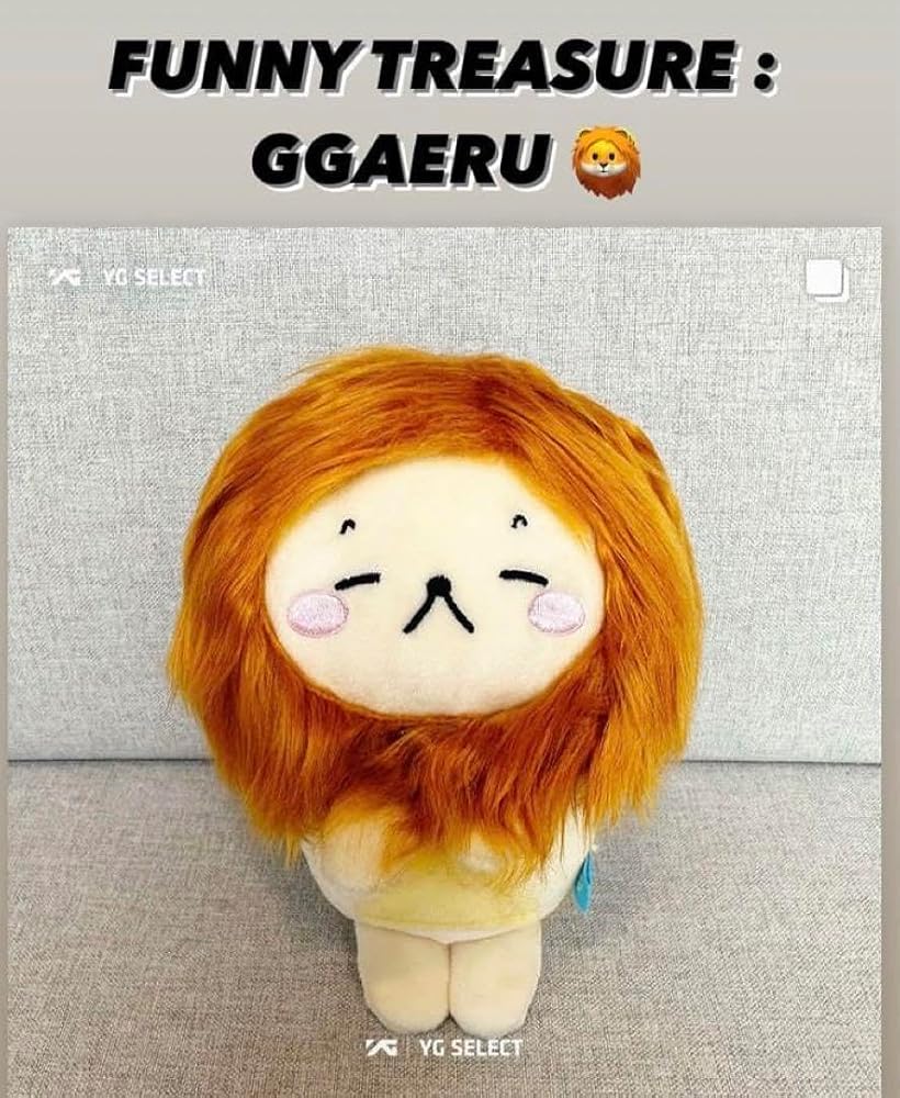 TREASURE - FUNNY DOLL TREASURE  GGAERU ジェヒョク　ぬいぐるみ Amazon.co.jp: FUNNY TREASURE ジェヒョク GGAERU ぬいぐるみ