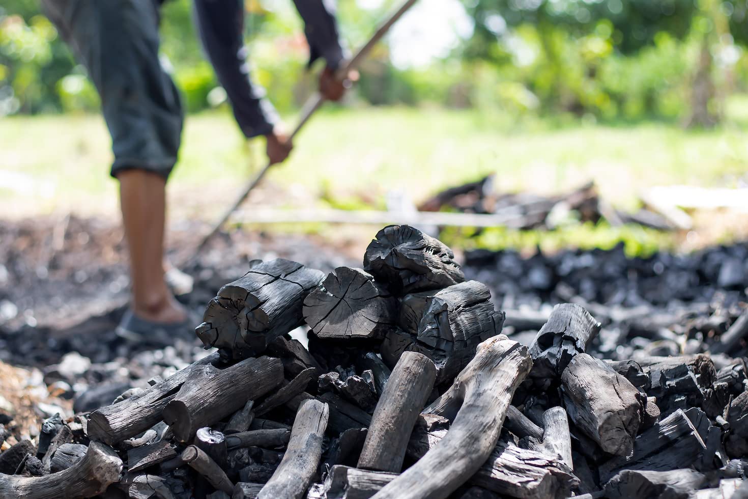 Wood Charcoal for BBQ & Dehumidifier - 2kg -5 Wood Charcoal for BBQ & Dehumidifier - 2kg -5