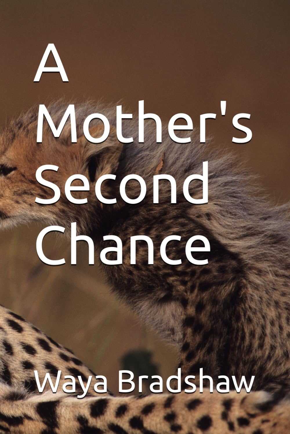 A Mother's Second Chance