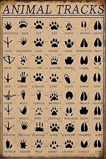 Cusde Animal Tracks Sign Vintage Nursery Metal Tin Sign Funny Hunting Decor Cabin Decor Gifts For Animal Lovers 8x12 Inch