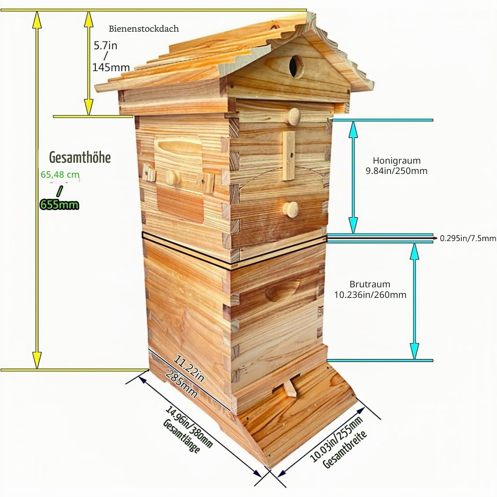 Beehive Starter-Set für Bienen mit Beobachtungsfenster und Honigtülle, inklusive Bienenhaus für Schreiner, Bestäuber im Garten