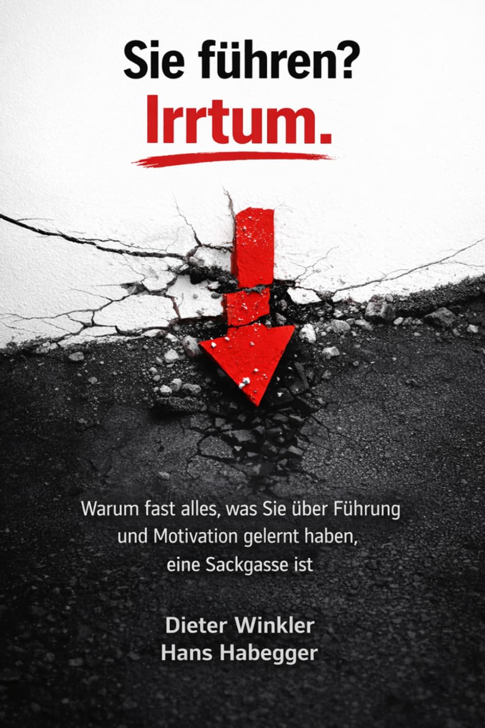Sie führen? Irrtum!: Warum fast alles, was Sie über Führung, Kultur und Motivation gelernt haben, eine Sackgasse ist
