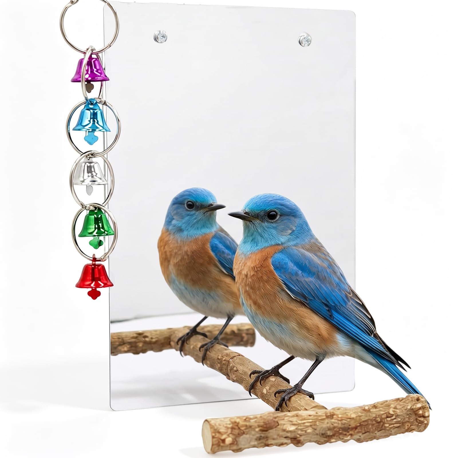 Large Bird Mirror with Perch Stand, Acrylic Bird Mirror