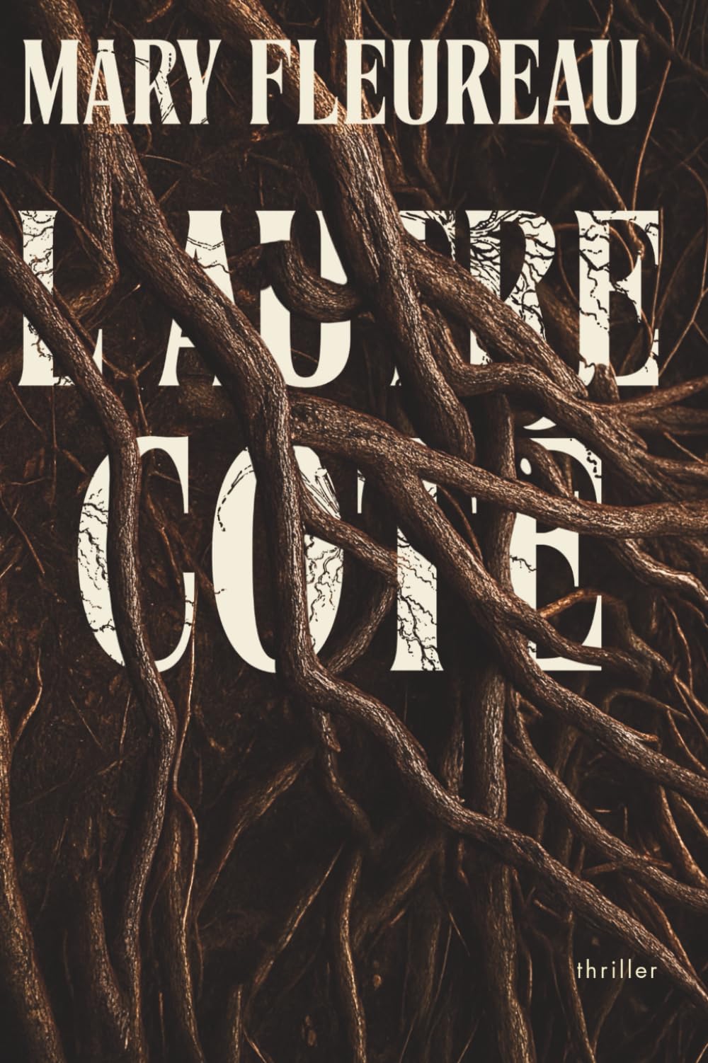 L'Autre Côté: un thriller psychologique bouleversant