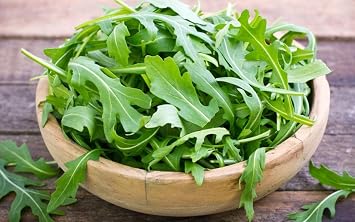 Seeds Arugula 20 Days Garden Rocket Salad Heirloom Vegetable for Planting Non GMO 500 Seeds