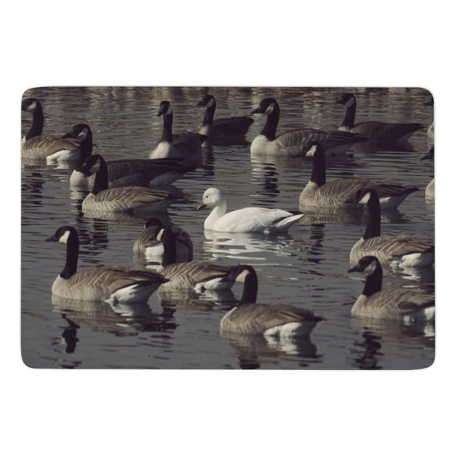 Tapis de sol doux Goose haut de gamme velours de corail 150cm