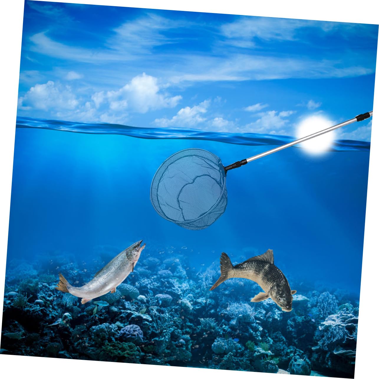 Toddmomy Retino da Pesca Telescopico in Lega di Alluminio Argento, Palo 3 Sezioni, Rete Esagonale per Laghi e Stagni