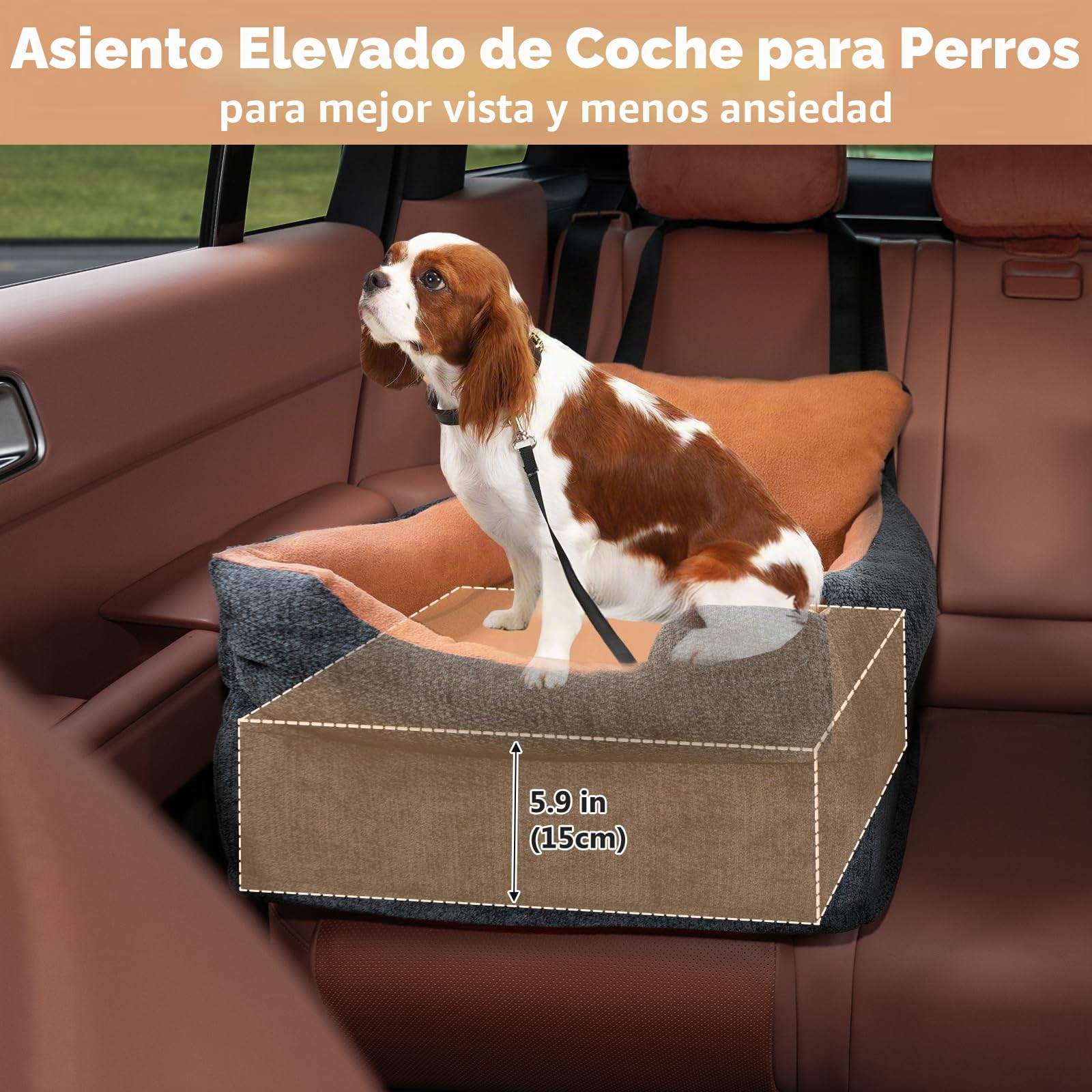 Avont Asiento de Coche Elevado para Perros Pequeños y Medianos de hasta 13 kg, Cama de Viaje para Mascotas con Cojín Grueso, Funda Desmontable y Lavable, Asiento de Seguridad Cómodo para Coche-Negro