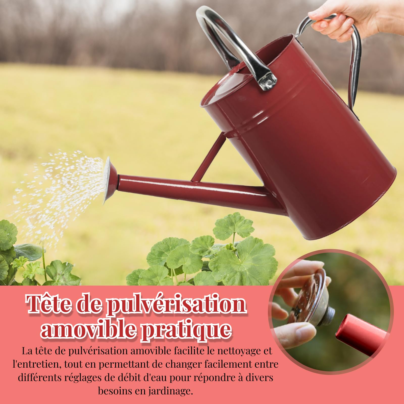 F Fityle Arrosoir 5L Grande Capacité pour Plantes, Arrosoir Jardin Professionnel avec Tête Détachable Étanche, Poignée Ergonomique en Acier Inoxydable, pour Plantes d'Intérieur et d'Extérieur, Rouge