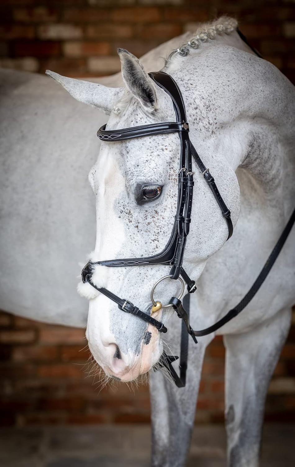 LeMieux Kudos Grackle Bridle