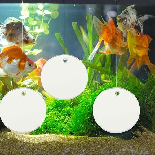 Miniatura 3 de POPETPOP Betta Espejo de ejercicio 1 juego de doble cara círculo Betta espejo con bola flotante para acuario pecera 7CM