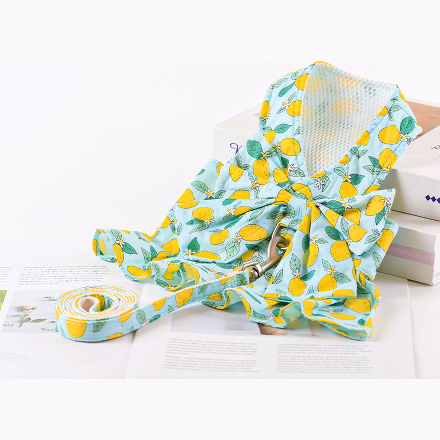Hundekleid Mit Schleife & Geschirr-Leinen-Set – Kariert, Für Kleine Hunde, Inkl. Leine