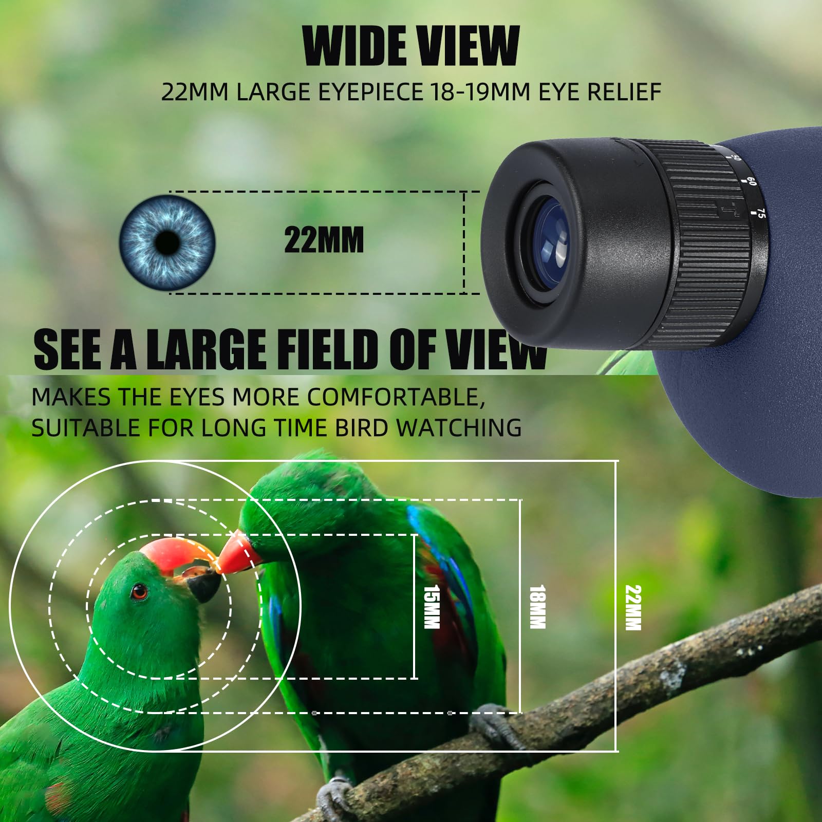 25-75x70 Longue-Vue Avec Trépied, Sac De Transport Et Adaptateur Pour Smartphone Pour L'observation Des Oiseaux Visite Safari Observation Des Oiseaux étoiles Tir à L'arc Camping Faune Paysage (GN018