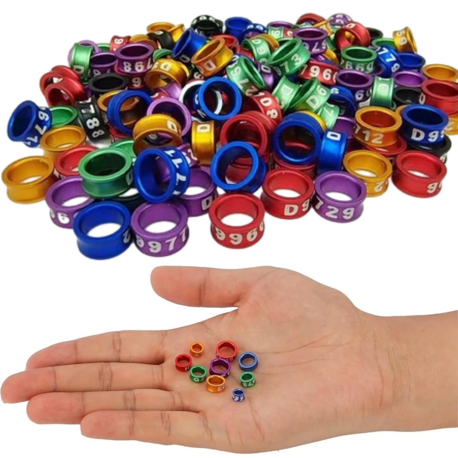 Générique Bande Professionnelle à Jambe fermée pour Oiseaux - Bague en Aluminium Durable pour perroquets, pacaws, Conures, Oiseaux Exotiques (Couleurs Mixtes)