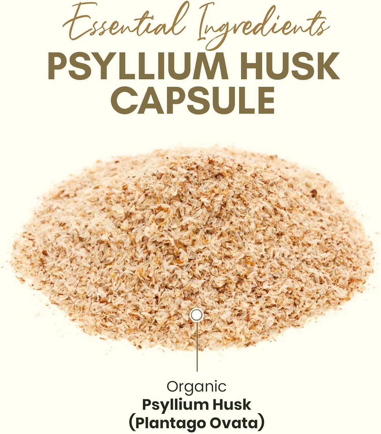 Organic Psyllium Husk Capsules 750 mg, Natural Fiber Supplement for Gut Health* - Alternative to Psyllium Husk Powder, Zealthy Life, 250 Capsules - Pack of 2 - Image 4