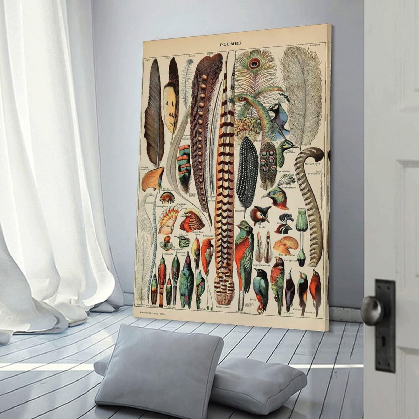 Junmoney Vintage Feathers Wall Picture Print 24x36inch(60x90cm), for Lounge Decor, Offices Or Entryway Styling, Versatile Wall Decor for Many Rooms