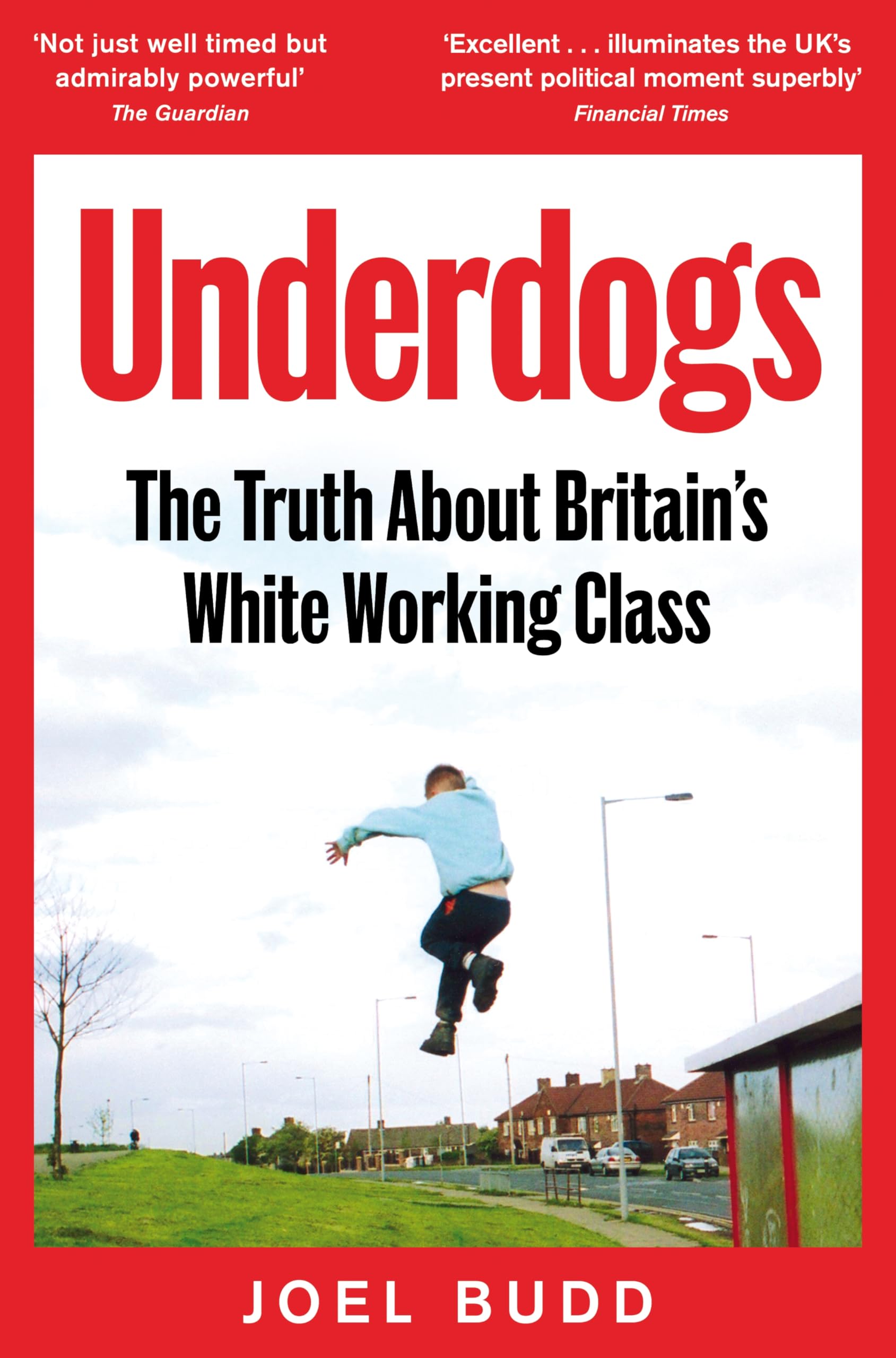 Underdogs: The Truth About Britain's White Working Class by Joel Budd