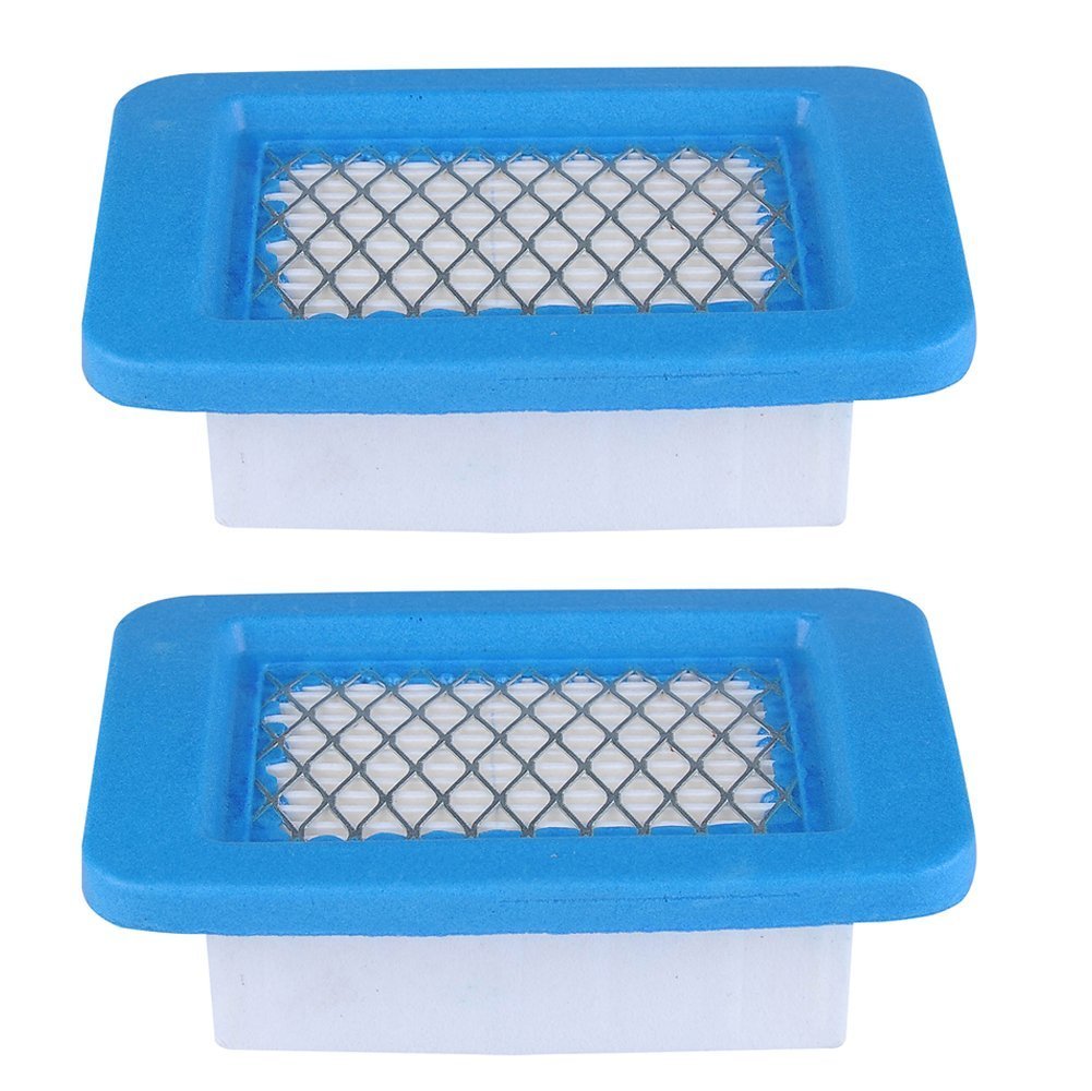 Raisman 2 Pack of Air Filter Replaces Echo A226000031/A226000032
