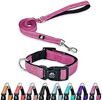 Vista 10 de FURRYFECTION Juego de collar y correa reflectante para perro con hebilla de liberación rápida, acolchado con neopreno, collar de nailon ajustable