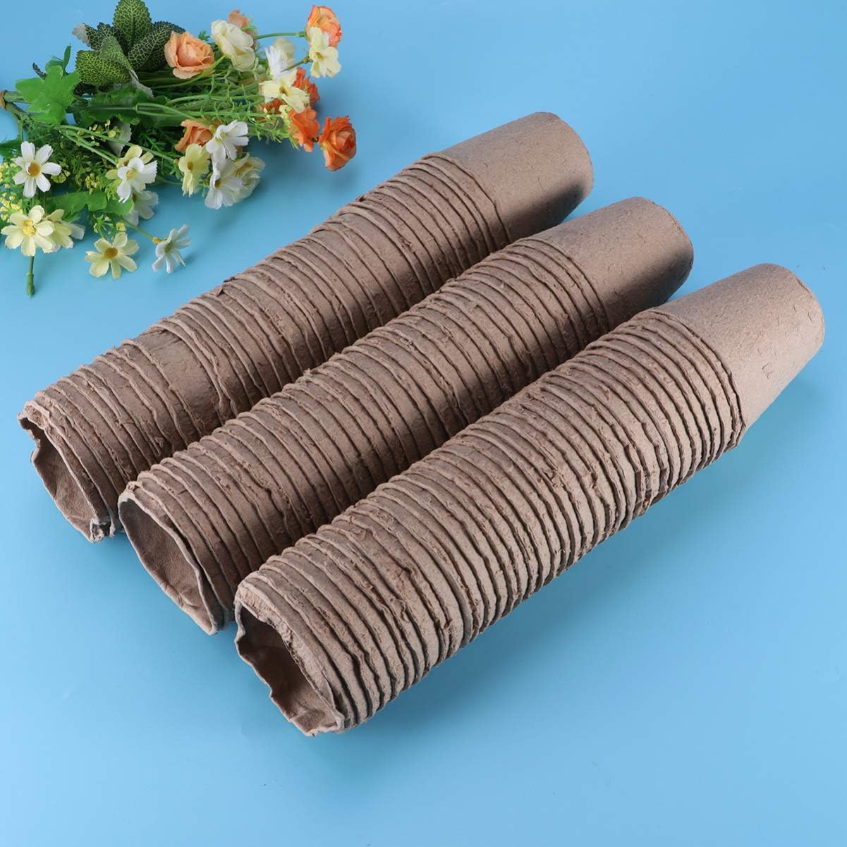 Hemoton 100 Pcs Biodegradable Peat Pots for Seedlings Plant Starter Pots Kit Succulent Planters Nursery Pots (8 x8 cm) : Patio, Lawn & Garden