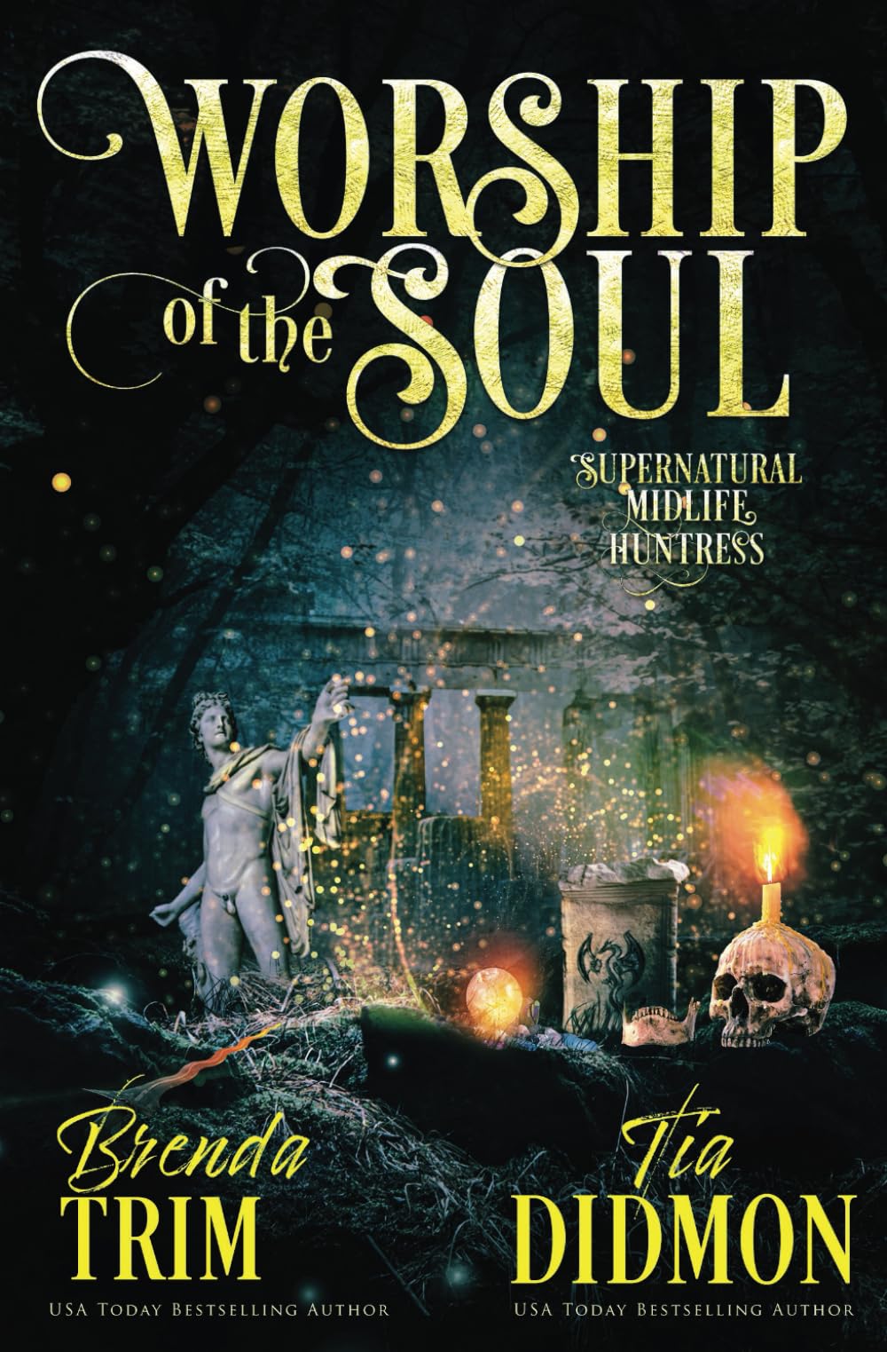 Worship of the Soul: Paranormal Women's Fiction (Supernatural Midlife Huntress): 15 (Shrouded Nation)