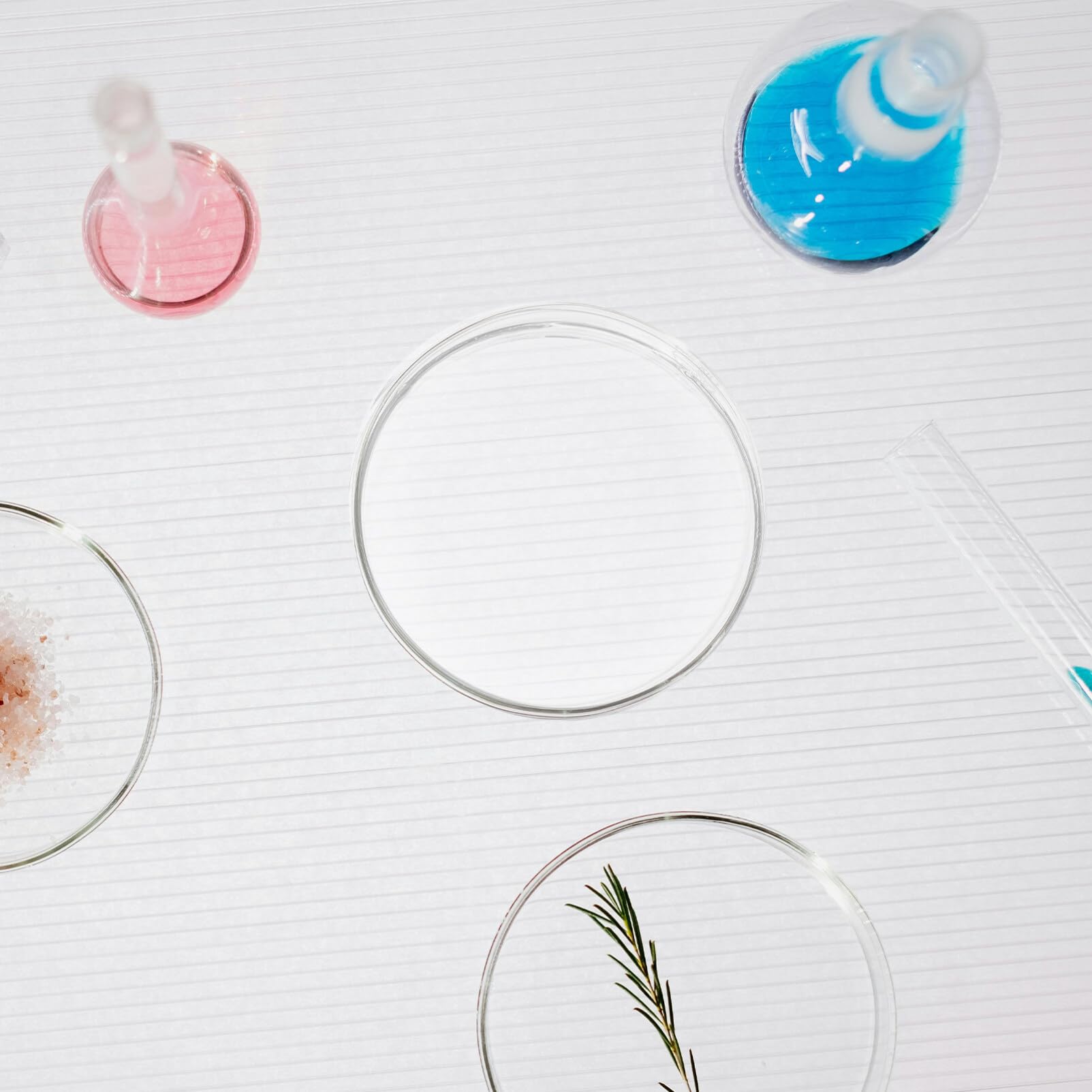 10 Boîtes De Pétri Verre Mobestech - 9.5cm Culture Cellulaire Laboratoire