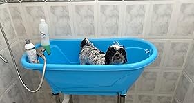 Review Image by Sally ASC Sally ASC