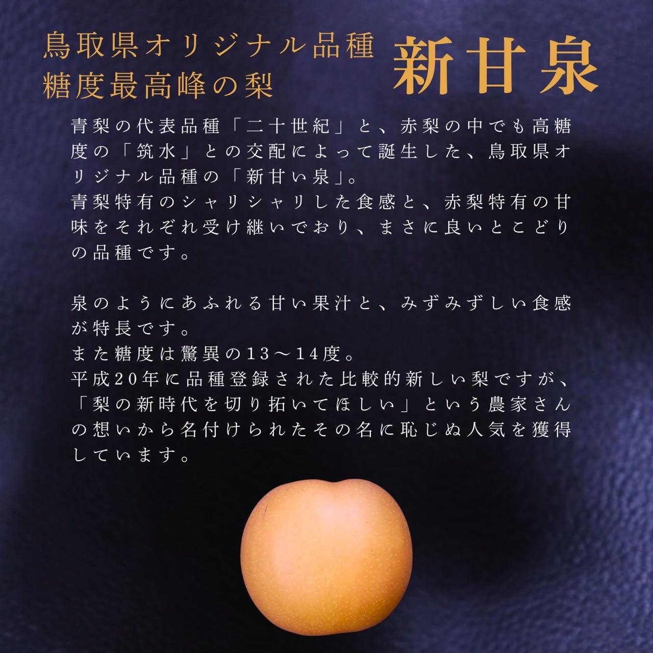 Amazon.co.jp: 【高級梨の王様】新甘泉 大玉 梨 4玉 秀 鳥取県産 平均